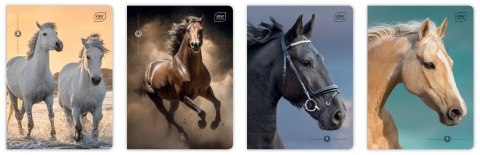 Zeszyt A5/16K kratka 70g UV Wild Horses (20szt)