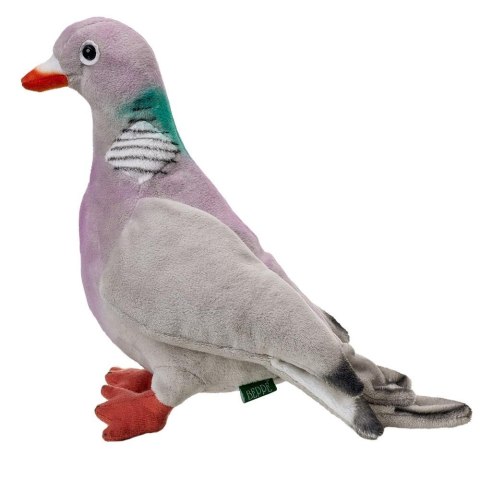Gołąb grzywacz 20cm