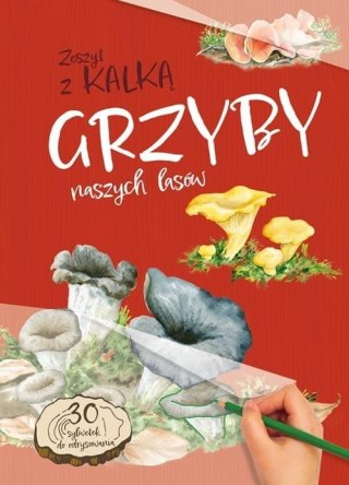 Grzyby Naszych Lasów. zeszyt z kalką