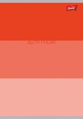 Zeszyt A5/60K linia Język Polski ze ściągą (10szt)