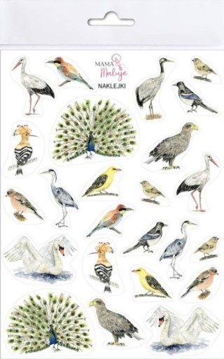 Naklejki Ptaki 2