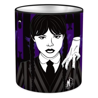 Pojemnik na przybory szkolne Wednesday