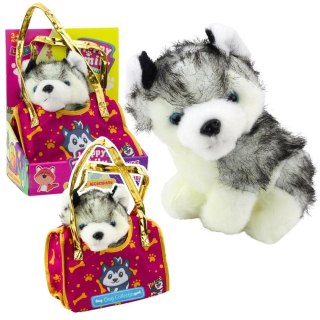 Piesek Husky w torebce pluszowy