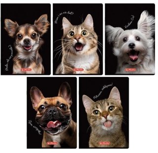 Zeszyt A5/80K kratka z marginesem Animal (5szt)