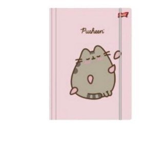 Teczka z gumką A4 Pusheen pink