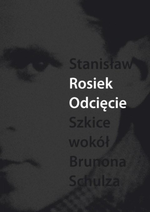 Odcięcie. Szkice wokół Schulza
