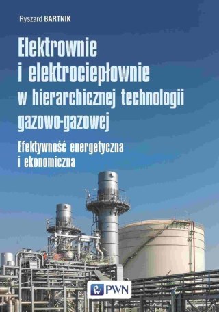 Elektrownie i elektrociepłownie w hierarchicznej..