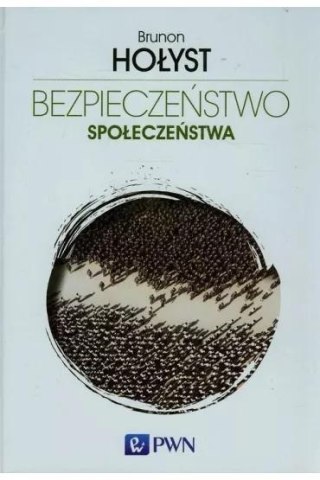 Bezpieczeństwo społeczeństwa 3