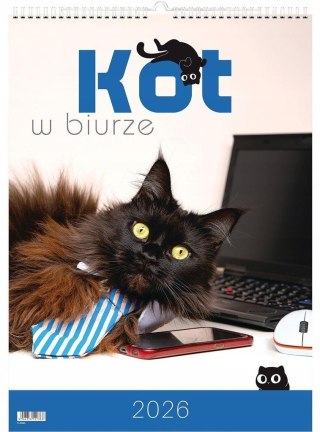 Kalendarz 2026 wieloplanszowy kot w biurze
