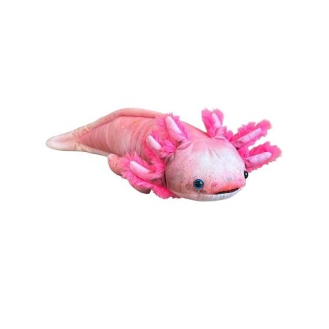Axolotl 38cm