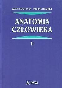 Anatomia człowieka T.2