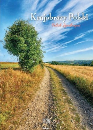 Kalendarz 2026 ścienny Krajobrazy Polski