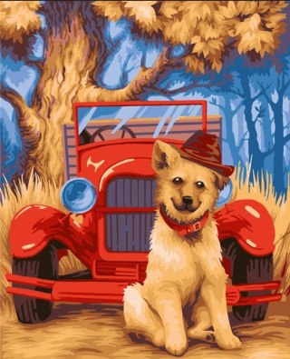 Malowanie po numerach 40x50cm Piesek w kapeluszu