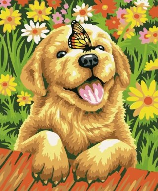 Malowanie po numerach 40x50cm Piesek z motylem