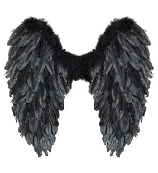 Czarne skrzydła naturalne pióra