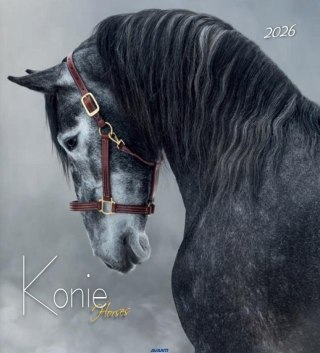 Kalendarz 2026 ścienny 32x32cm Konie