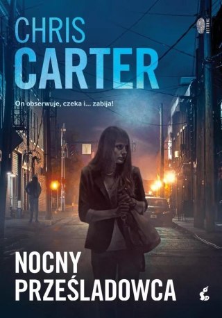 Robert Hunter T.3 Nocny prześladowca