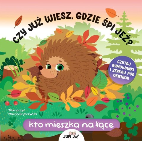 Czy już wiesz, gdzie śpi jeż? Kto mieszka na łące