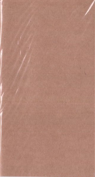 Wkład kalendarzowy 2026 Organizer Podróżnika TNS