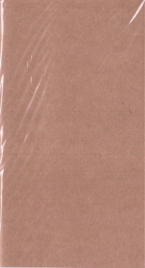 Wkład kalendarzowy 2026 Organizer Podróżnika TNS