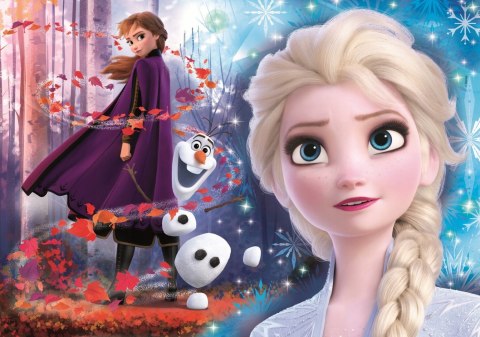 CLE puzzle 104 ozdoby Frozen 2 20164 CLE puzzle 104 ozdoby Frozen 2 20164