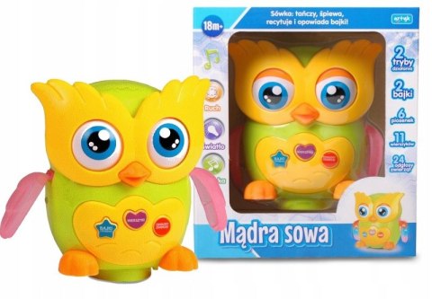 Mądra sowa e-edu 129971
