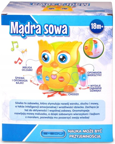 Mądra sowa e-edu 129971