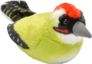 Maskotka Dzięcioł zielony