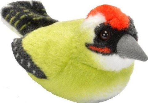 Maskotka Dzięcioł zielony