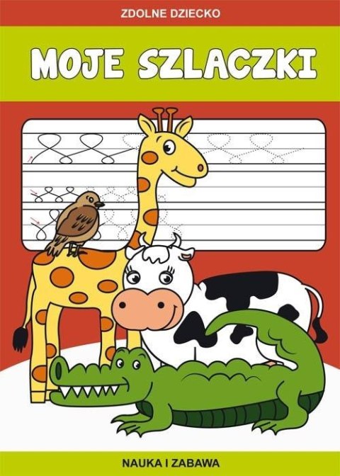 Moje szlaczki. Nauka i zabawa