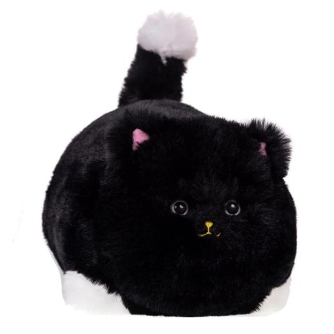 Interaktywny kot czarny