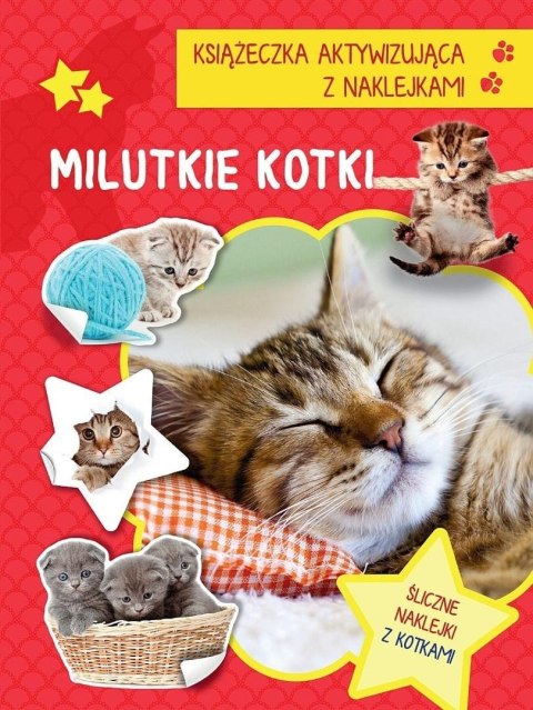 Książeczka aktywizująca naklejki. Milutkie kotki