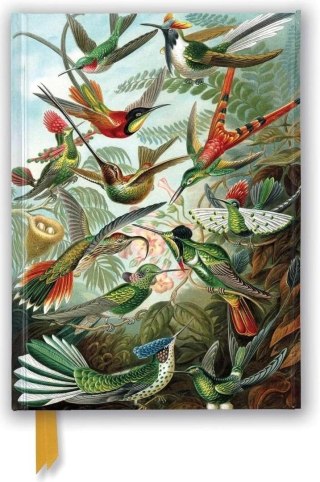 Notatnik A5 linia TW Kolibry Ernst Haeckel