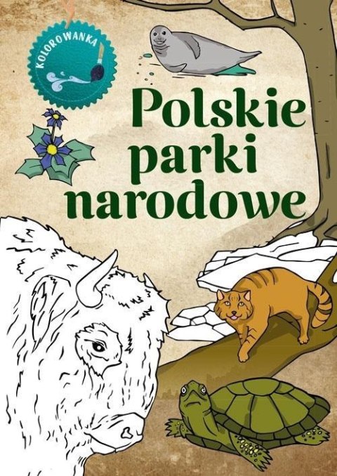 Kolorowanka. Polskie parki narodowe
