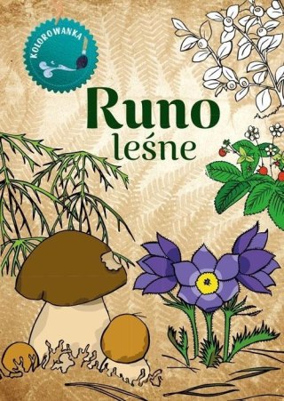 Kolorowanka. Runo Leśne