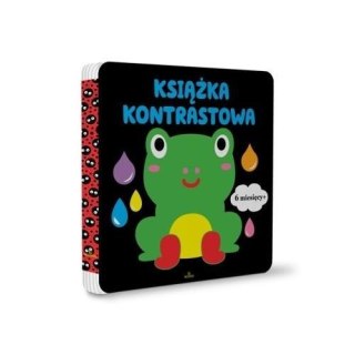 Książka kontrastowa 6m+