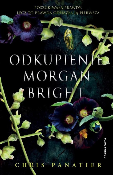 Odkupienie Morgan Bright