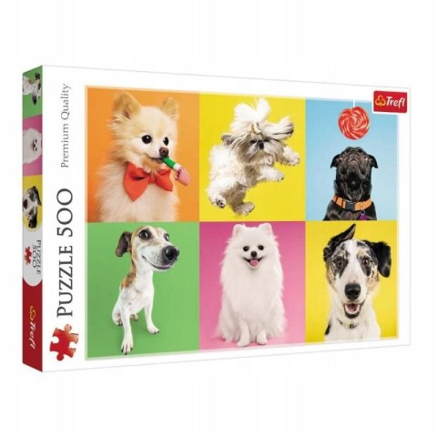 PUZZLE 500 Psy / Trefl 37378 PUZZLE 500 Psy / Trefl 37378