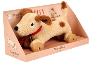 Piesek na kółkach do ciągnięcia Dudley