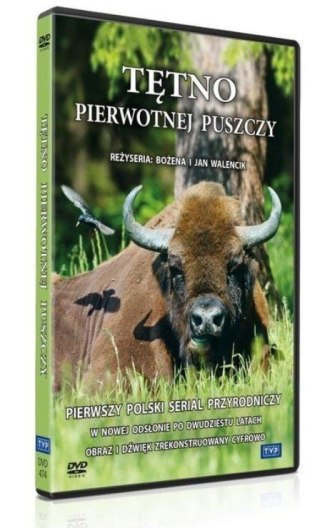 Tętno pierwotnej puszczy DVD