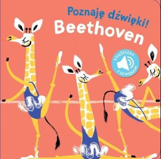 Poznaj dźwięki Beethoven