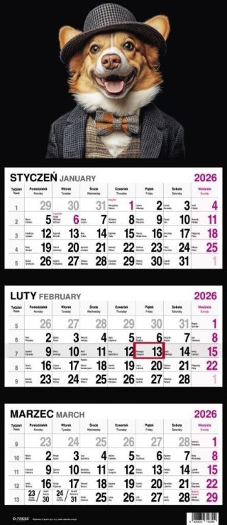 Kalendarz 2026 Trójdzielny Pies