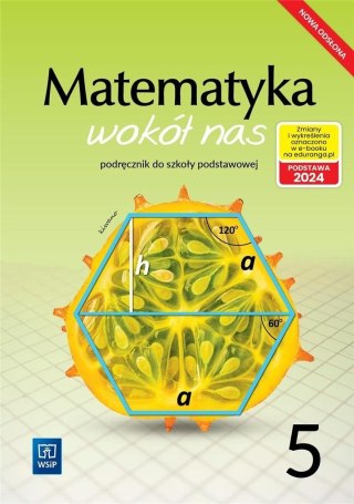 Matematyka Wokół nas SP 5 Podr. WSiP