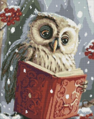 Diamentowa mozaika - Sprytna sowa 40x50cm