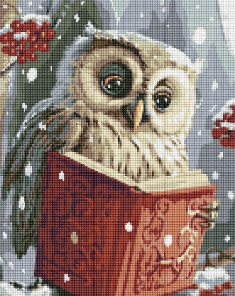 Diamentowa mozaika - Sprytna sowa 40x50cm