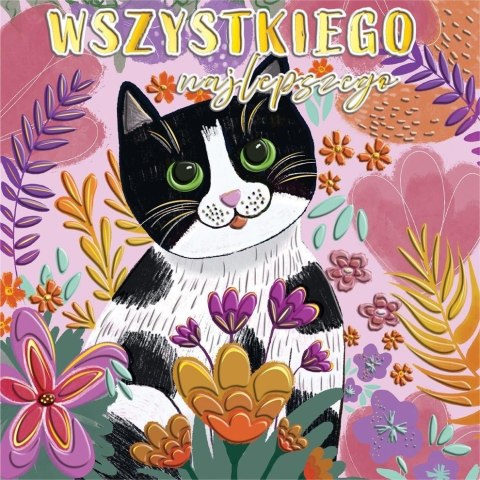 Karnet KW Kot fioletowy