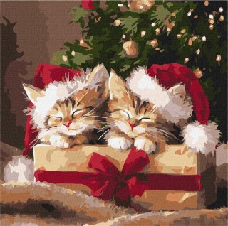 Malowanie po numerach - Puszyste prezenty 40x40cm