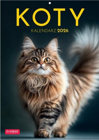 Kalendarz 2026 A4 Wieloplanszowy Koty