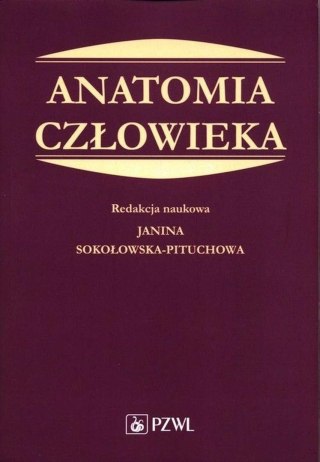 Anatomia człowieka