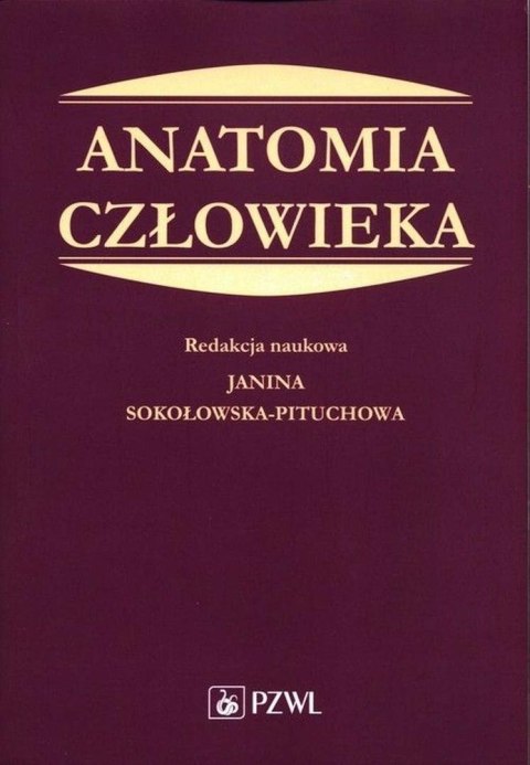 Anatomia człowieka